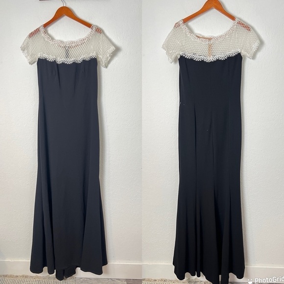 NWT Tadashi Shoji Lace & Crepe A-Line column Gown - Picture 4 of 10